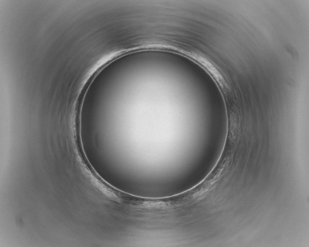 X0000116341142200912011344