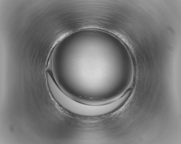 X0000116341145200912011344