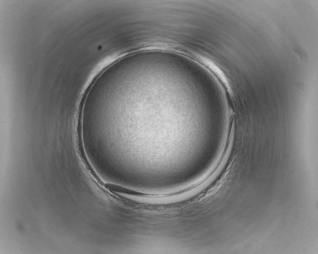 X0000116341146200912011344