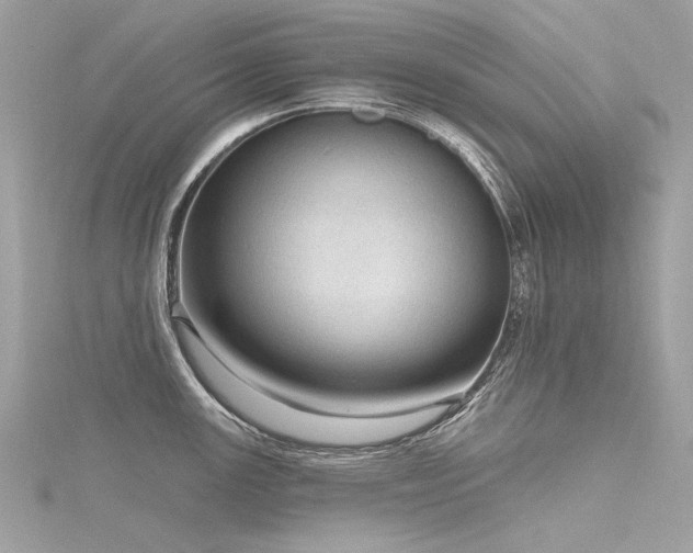 X0000116341147200912011344