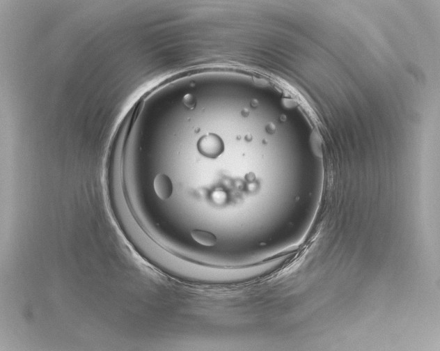 X0000116341149200912011344