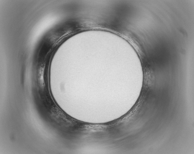 X0000116341150200912011344