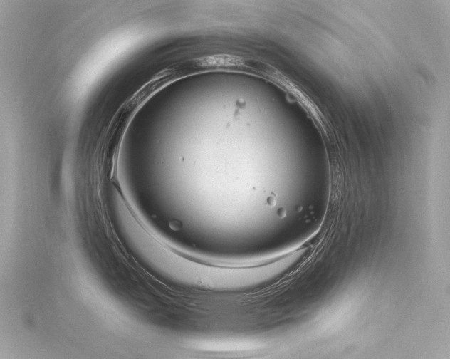 X0000116341151200912011344