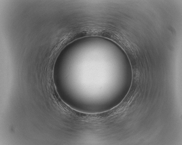 X0000116341153200912011343