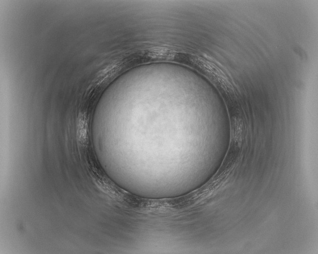 X0000116341154200912011343