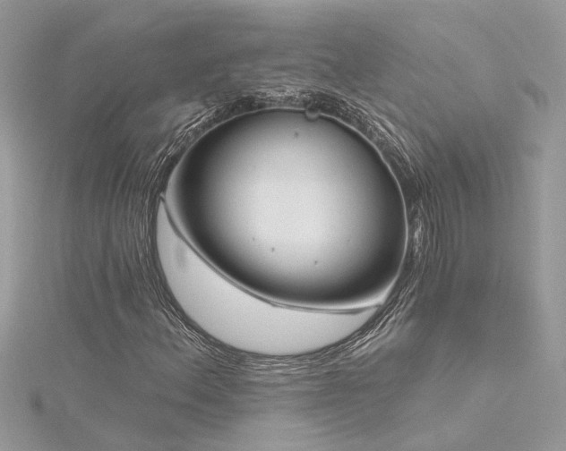 X0000116341156200912011343