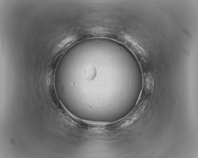 X0000116341157200912011343