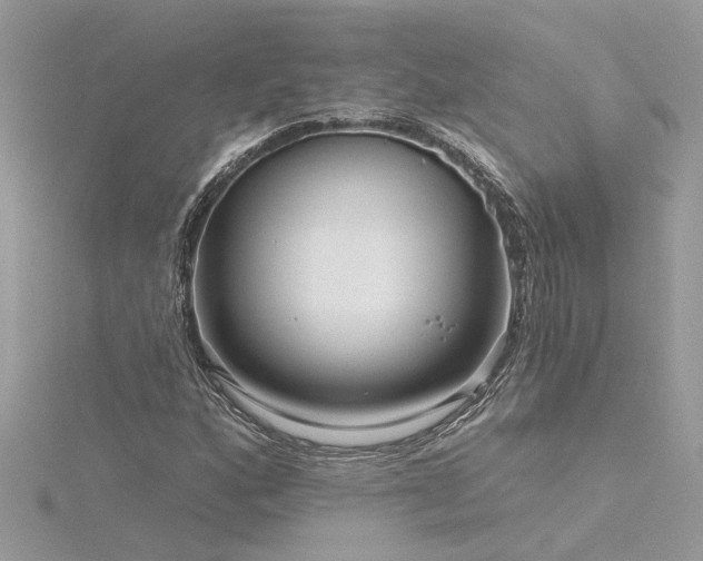 X0000116341160200912011343