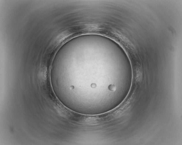 X0000116341161200912011343