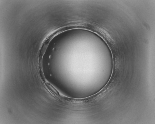 X0000116341164200912011343