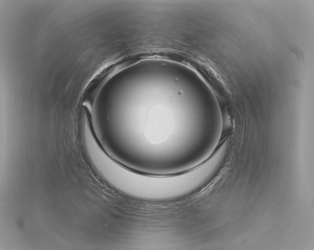 X0000116341165200912011343