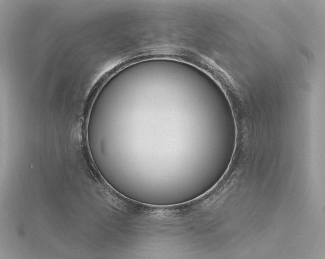 X0000116341166200912011343