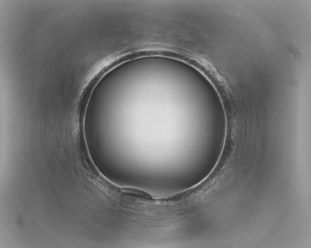 X0000116341167200912011343