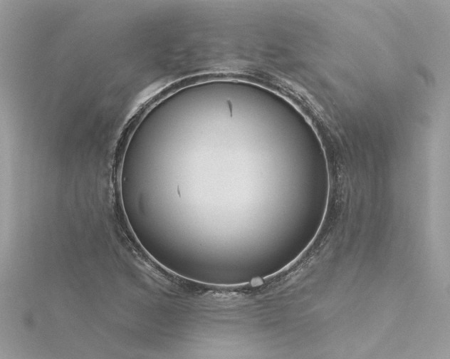 X0000116341168200912011343