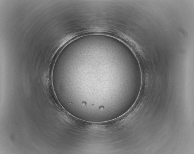 X0000116341170200912011343