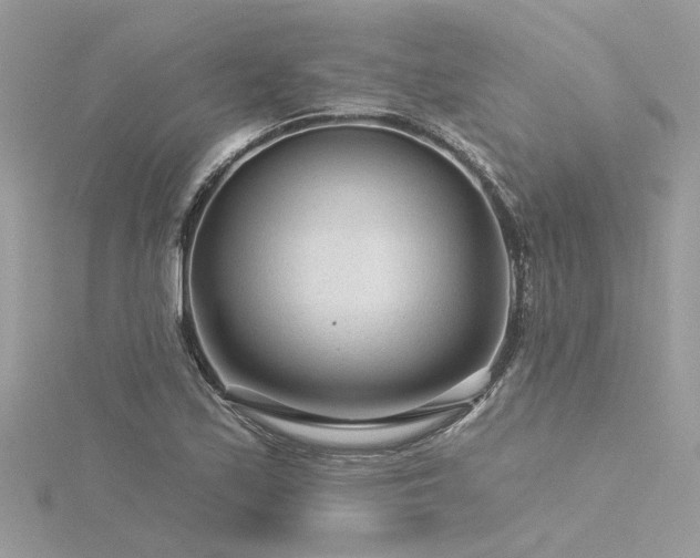 X0000116341171200912011343