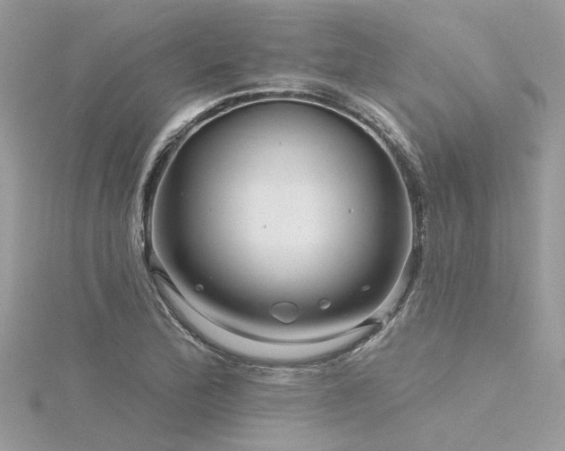 X0000116341172200912011343