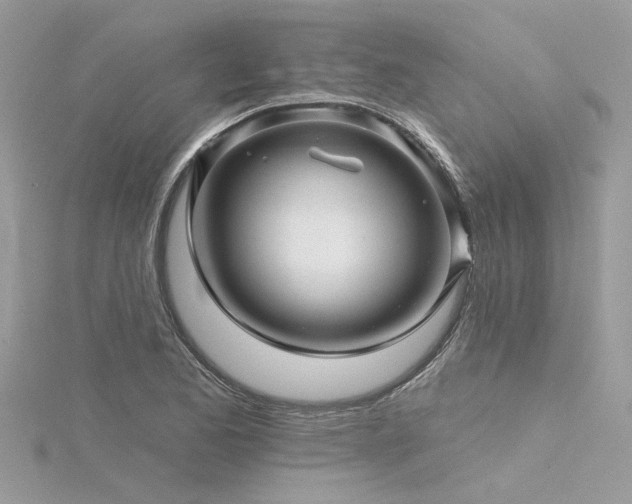 X0000116341173200912011343