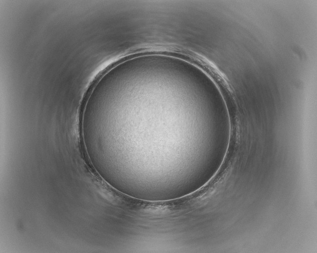 X0000116341174200912011343