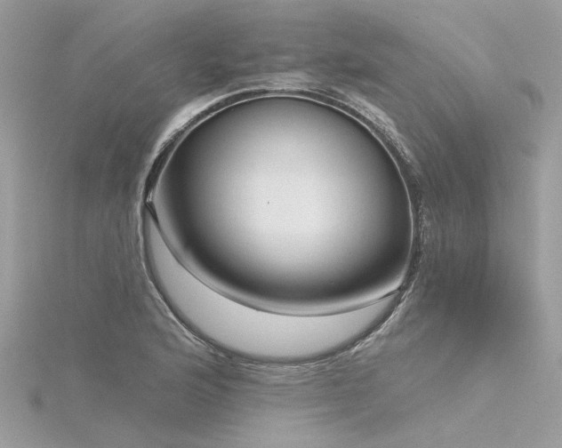 X0000116341176200912011343