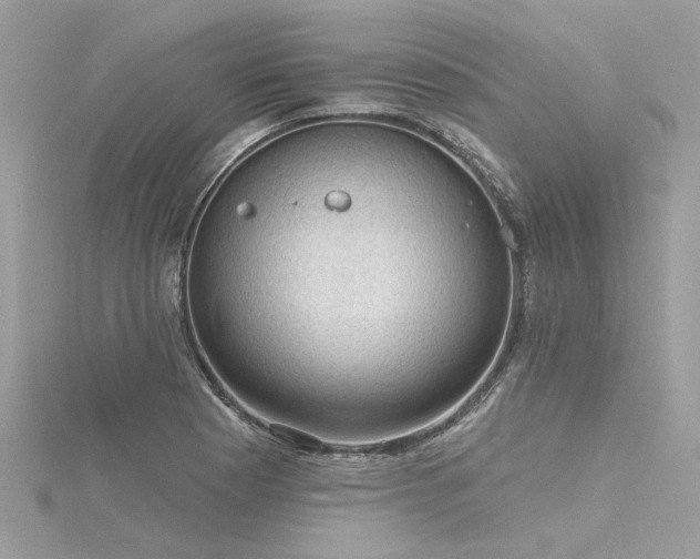 X0000116341177200912011343