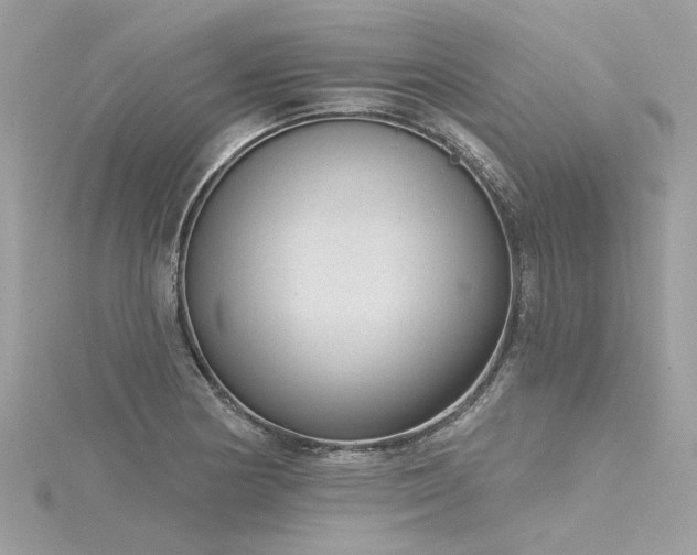 X0000116341178200912011343