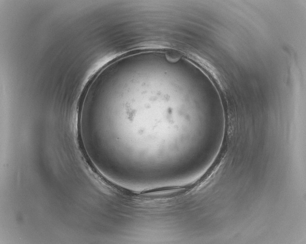 X0000116341179200912011343