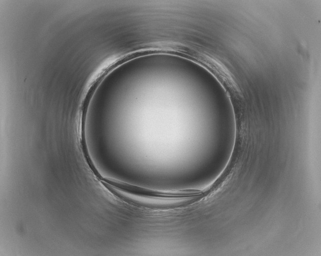 X0000116341180200912011343