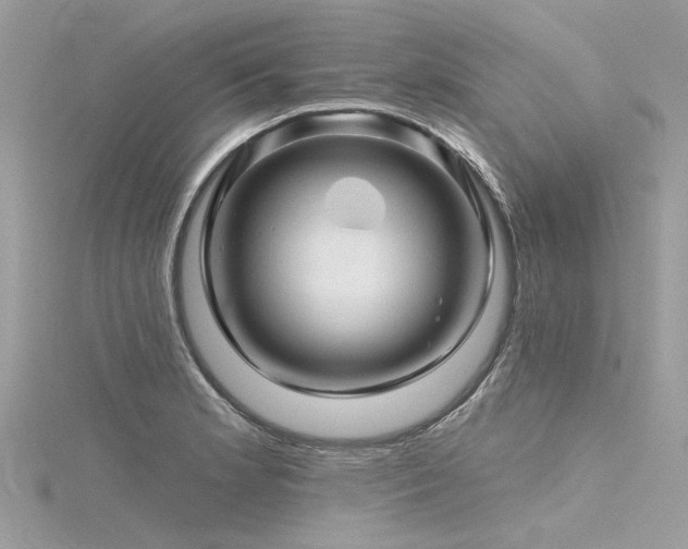 X0000116341181200912011343