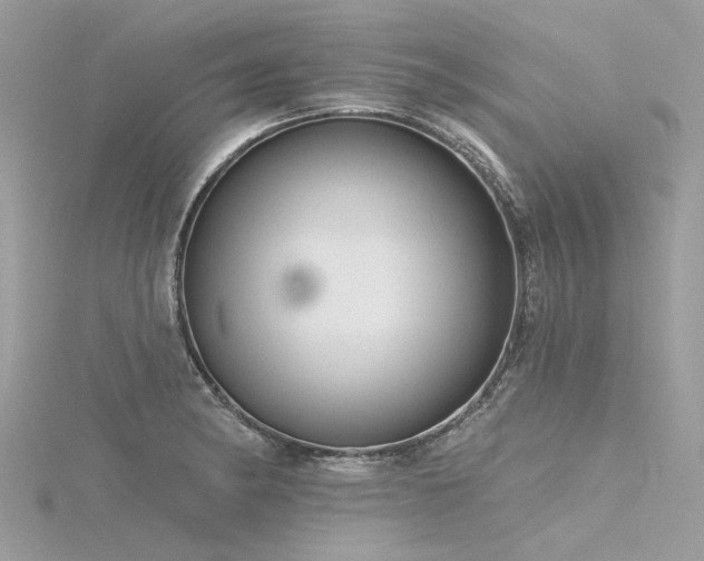 X0000116341182200912011343