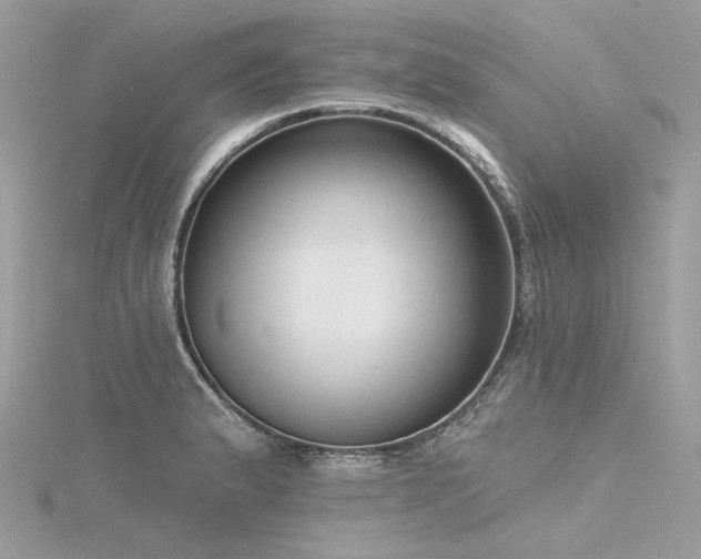 X0000116341183200912011343