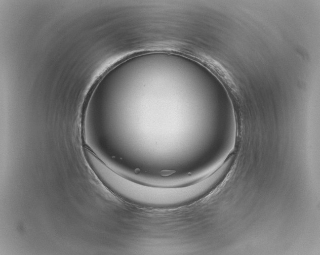 X0000116341184200912011343