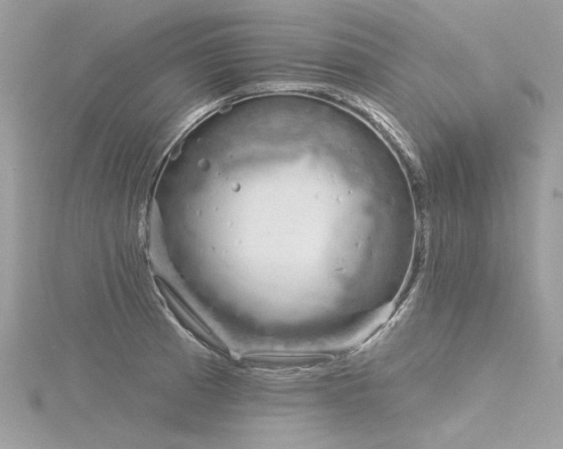 X0000116341185200912011343