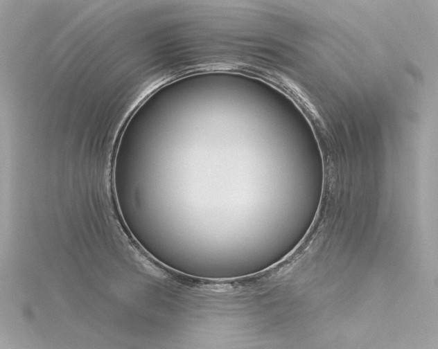 X0000116341186200912011343