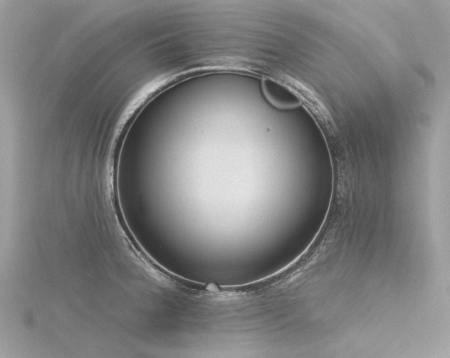 X0000116341188200912011343