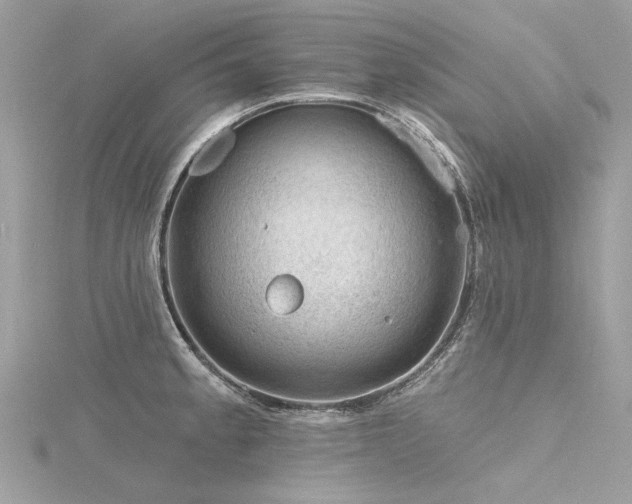 X0000116341189200912011343