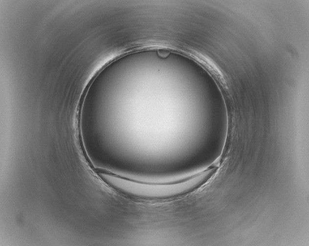 X0000116341190200912011343