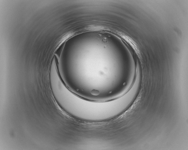 X0000116341193200912011343