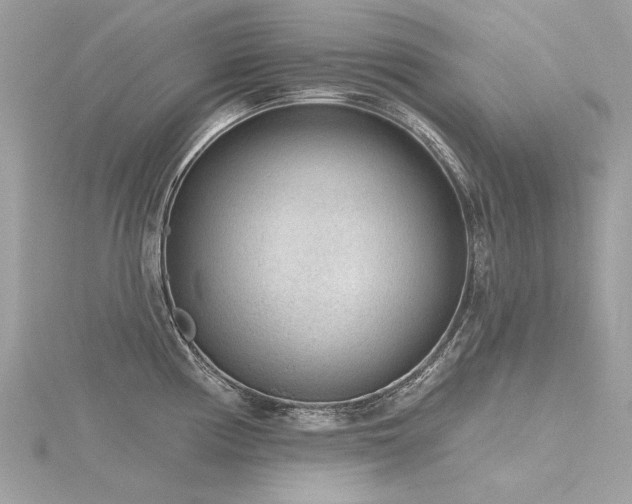 X0000116341194200912011343