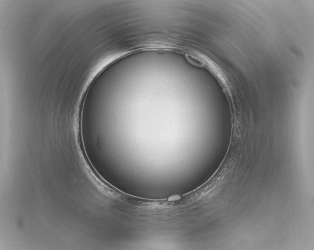 X0000116341195200912011343