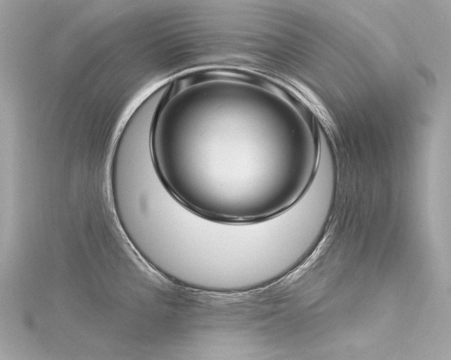 X0000116341196200912011343