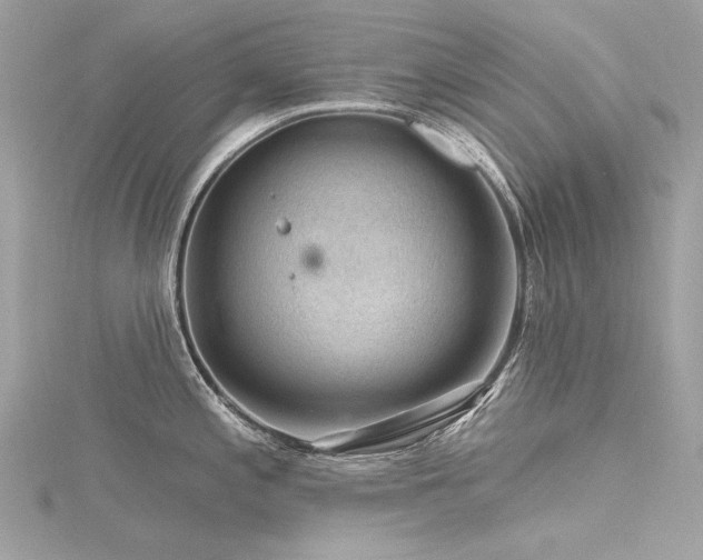 X0000116341197200912011343