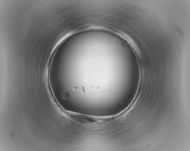 X0000116341198200912011343