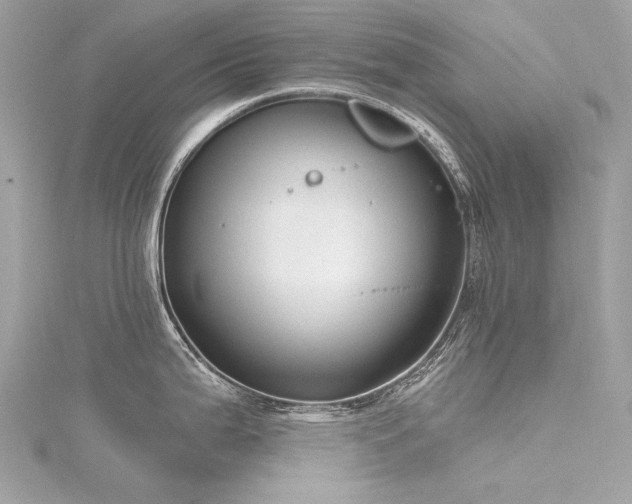 X0000116341199200912011343