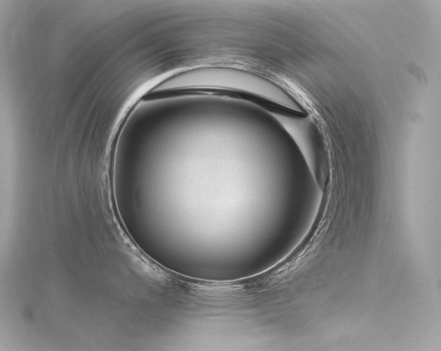 X0000116341200200912011343