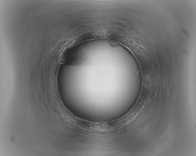 X0000116341201200912011342