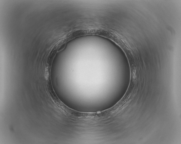 X0000116341204200912011342