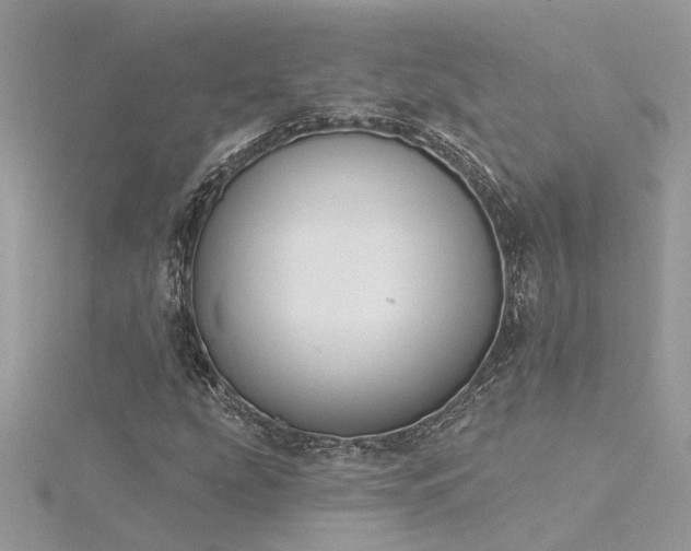 X0000116341207200912011342