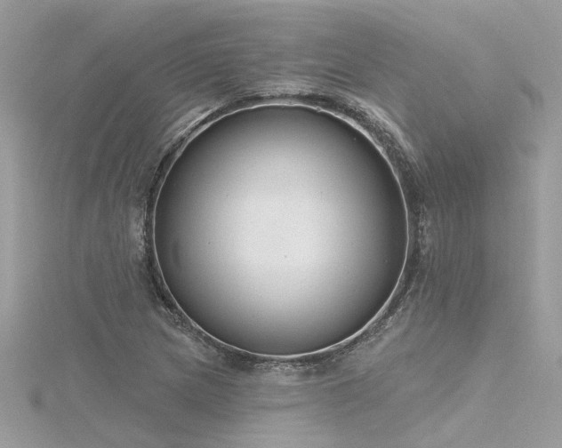 X0000116341217200912011342