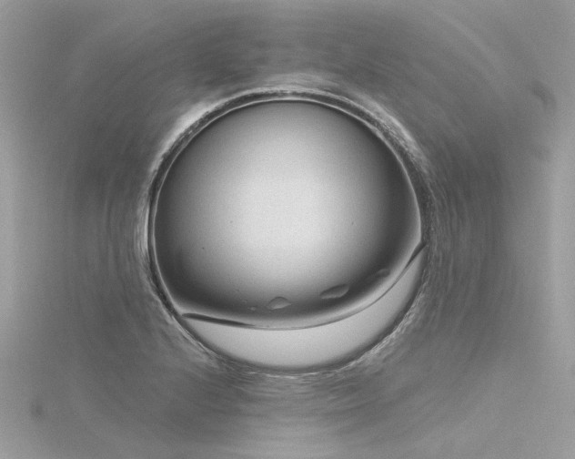 X0000116341224200912011342
